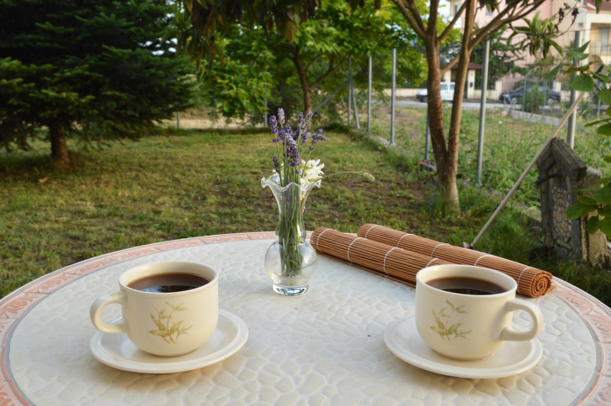 Sunny Retreat With A Garden Terrace Private Room Ioannina Exterior foto